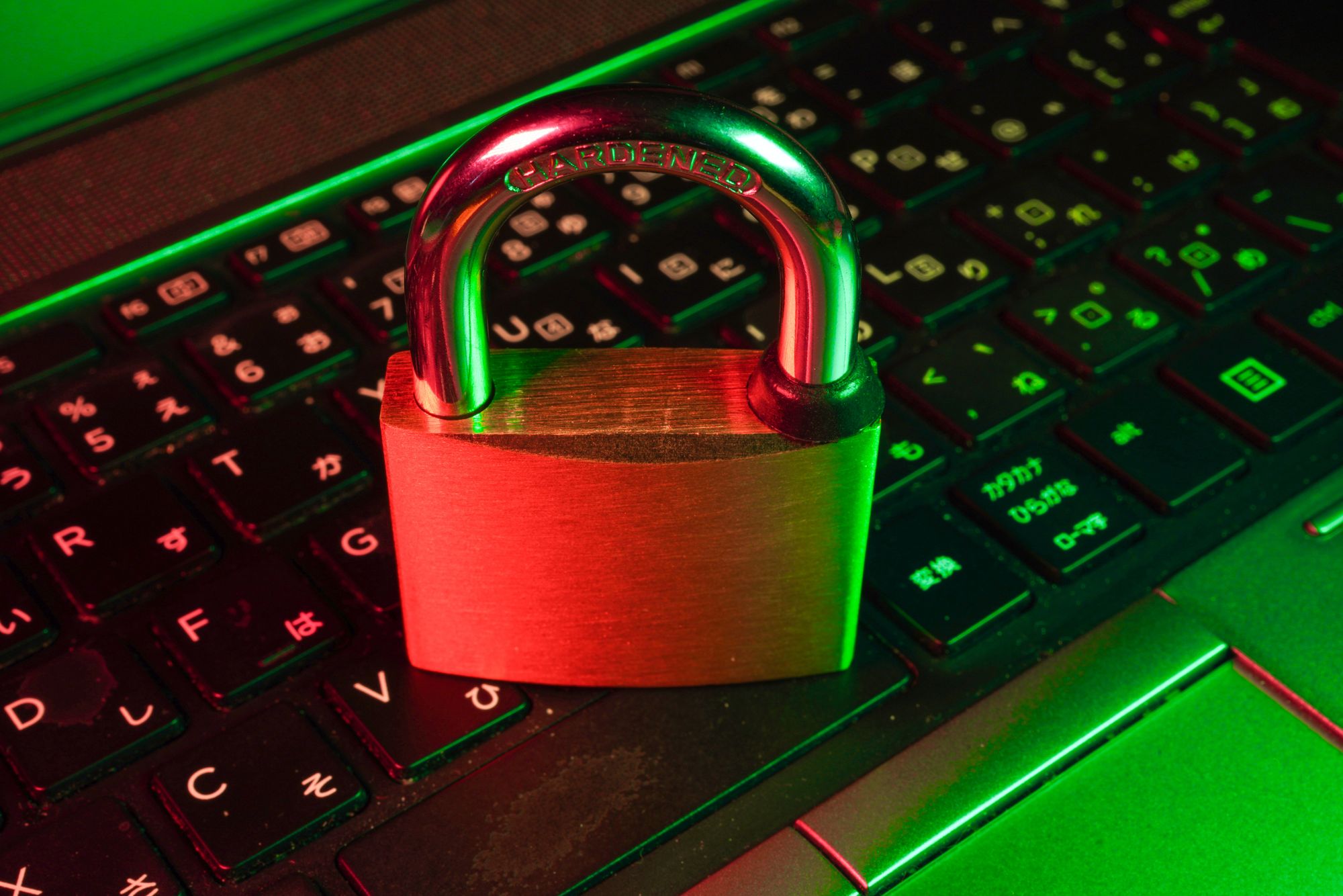 Neglected Software Vulnerabilities and Their Costs